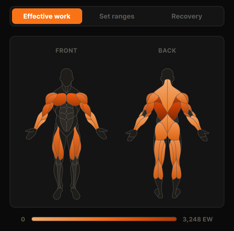 A body map shaded by how much work each muscle did